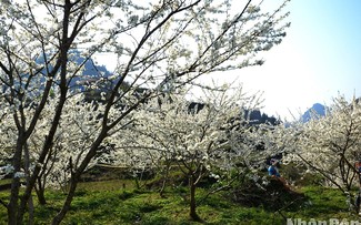 Recorrido por “meseta blanca” de Bac Ha