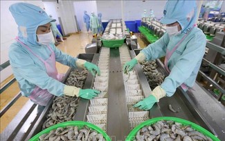Exportaciones de productos acuáticos de Vietnam registran en julio mayor valor del año