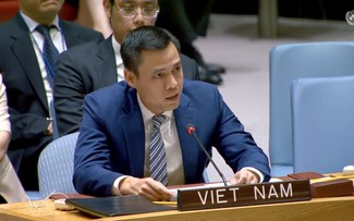 越南支持联合国安理会在应对全球网络安全挑战中发挥作用