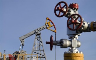 ​ Le Japon fixe un plafond pour le prix du pétrole brut russe