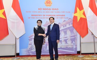 Bùi Thanh Son co-préside la cinquième réunion du comité de coopération Vietnam-Indonésie