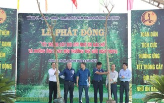 Dak Lak célèbre la Journée mondiale de l’environnement avec une fête de plantation d’arbres
