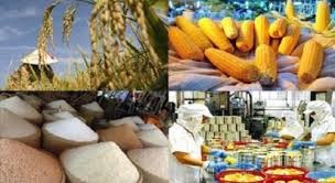 Compréhension orale: leçon 11: l’exportation des produits agricoles en hausse