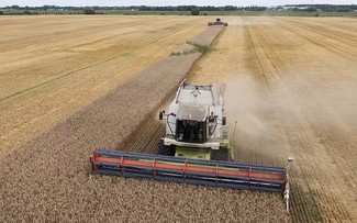 EU extends restrictions on Ukrainian grain imports until mid-September