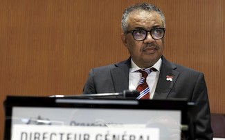 WHO chief urges countries to quickly seal pandemic deal