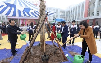 Hanoi wird 15.000 Bäume in den Schulen anbauen