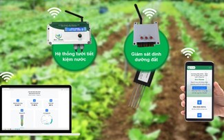 Studenten helfen Bauern mit Technologien