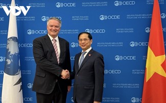 OECD will Vietnam bei der Erneuerung der Wachstumsmodelle begleiten