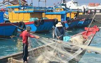 Vietnam bemüht sich um Aufhebung der Gelben Karte gegen IUU-Fischerei 