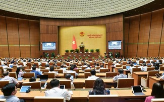 Politik zur Entwicklung von Halbleiterchips und KI für Da Nang