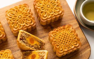 Vietnamese baked Moon cake with mixed nuts filling