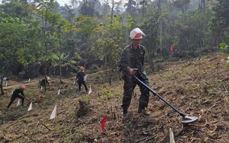 Die internationale Zusammenarbeit beim Umgang mit Bomben- und Minenverschmutzung