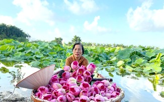 Hanoi organisiert zum ersten Mal das „Lotusfestival 2024“