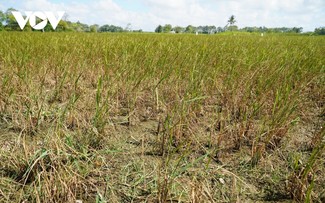 메콩강 삼각주 지대, 가뭄 및 염분화 방지 대책 마련