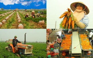 농업 순환 경제에 관한 국제 협력 강화