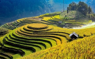 Indikasi Menggembirakan dalam Pemulihan Pariwisata di Yen Bai