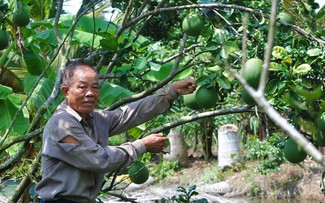 Party member Ba Liem promotes innovative ideas in production