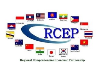 Vietnam approves action plan for RCEP implementation