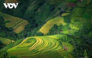 Woman preserves picturesque terraced fields in Mu Cang Chai