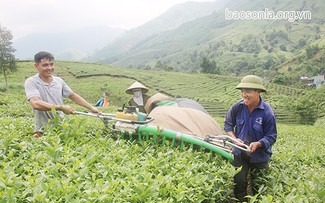 Son La province develops modern rural areas with civilized farmers
