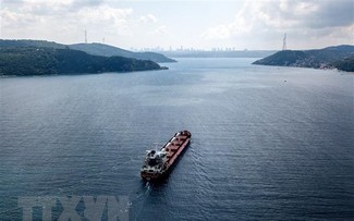 First Ukraine grain ship docks in Turkey  