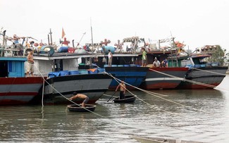“Green ports” increase Thua Thien-Hue’s fishery product values