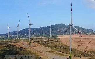 Sweden ready to share experience in green transition, sustainable development with Vietnam