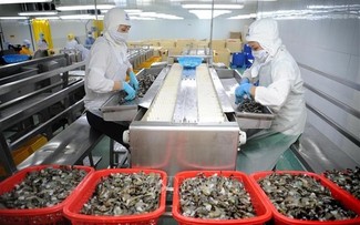 Public investment expected to propel Vietnam's long-term growth