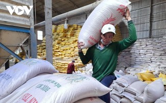 L’exportation de riz du Vietnam durant le premier trimestre de 2024