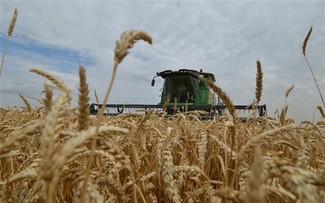 Turkey, Russia, Qatar cooperate in delivering grain to Africa