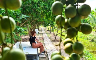 Warga U Minh Melindungi Kebun Rambai Cai Tau, Mempertahankan Ciri-Ciri Lama untuk Mengembangkan Pariwisata