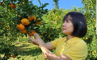 Saudari Vu Thi Le Thuy, Teladan dalam Melakukan Usaha Ekonomi Pedesaan di Provinsi Hoa Binh