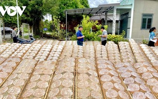コメ煎餅作りの開発をめざすアンガイ村の取り組み