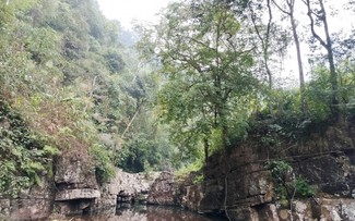 Dao people in Na Hac protect forest