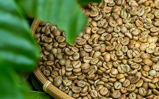 Vietnam’s coffee export tops 2 billion USD in five months