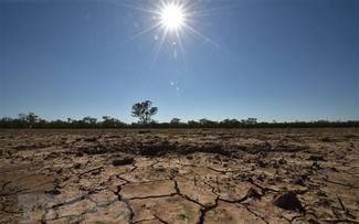 International community accelerates actions to combat climate change