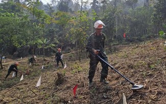 Vietnam, RoK cooperate in mine action training course