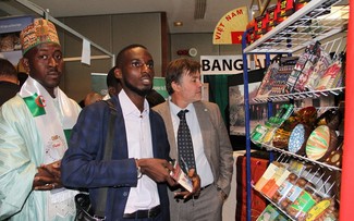 Opportunities for Vietnamese products in Africa