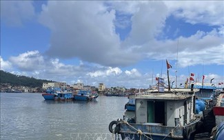 Vietnam considers combatting IUU fishing an urgent mission
