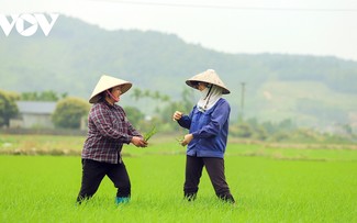 Happy farmers in Binh Khe