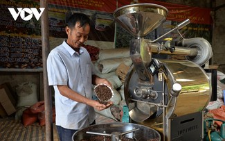 Son La farmers become well-off by growing coffee