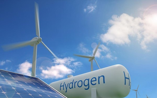 What does Vietnam need for a hydrogen energy market?