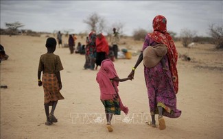 More than 74 million people face food insecurity in Horn of Africa
