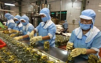 Vietnam’s exports increase 13.8% in H1 