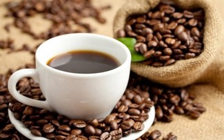 La France soutient le renouveau de la caféiculture dans le Nord-Ouest Vietnam