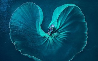 2021年の国際フォトコンテストで受賞したベトナム人写真家の優れた作品10選