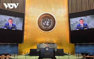 ベトナム パレスチナの国連加盟に関する決議案 支持