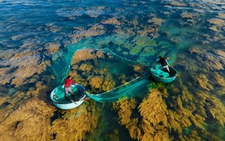 乾季のホンコー島の幻想的な美しさ