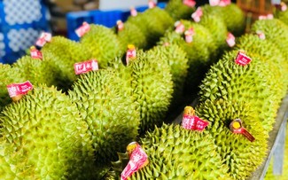 榴莲出口额突破10亿美元大关