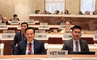 越南呼吁各方履行在冲突中保护平民的义务